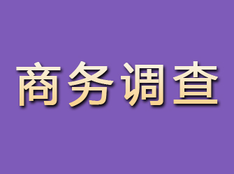 漯河商务调查